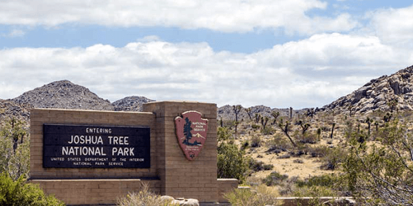 Joshua Tree - Entrance