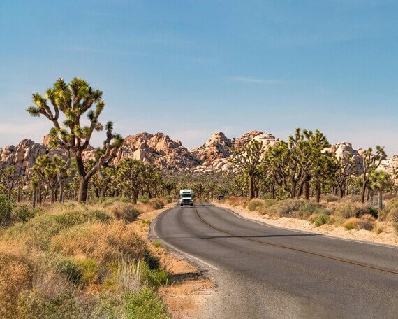 A vehicle driving on a winding road through a desert landscape with Joshua trees.